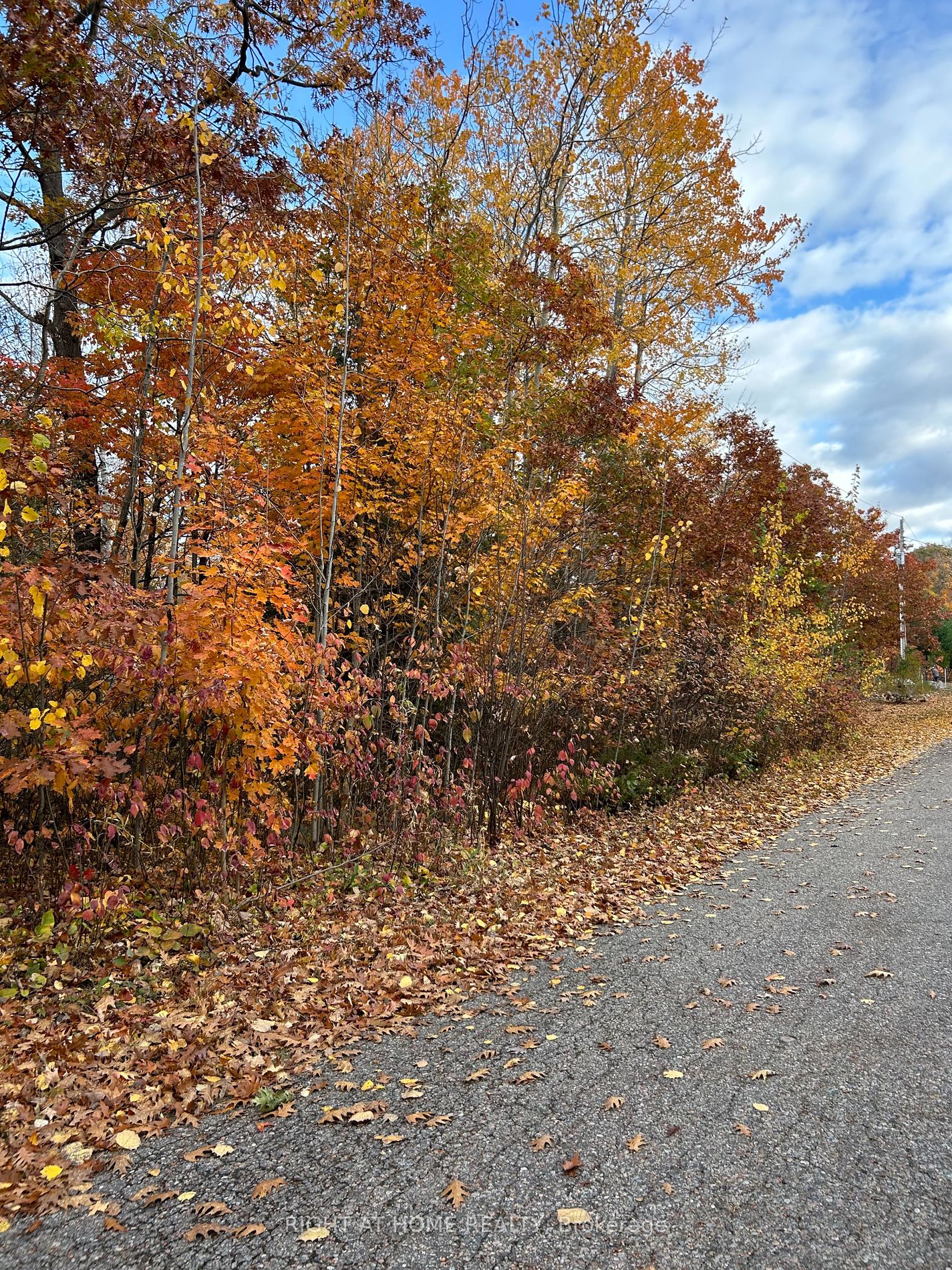 Lot 64 Parklane Crt, Tiny, Ontario, Rural Tiny