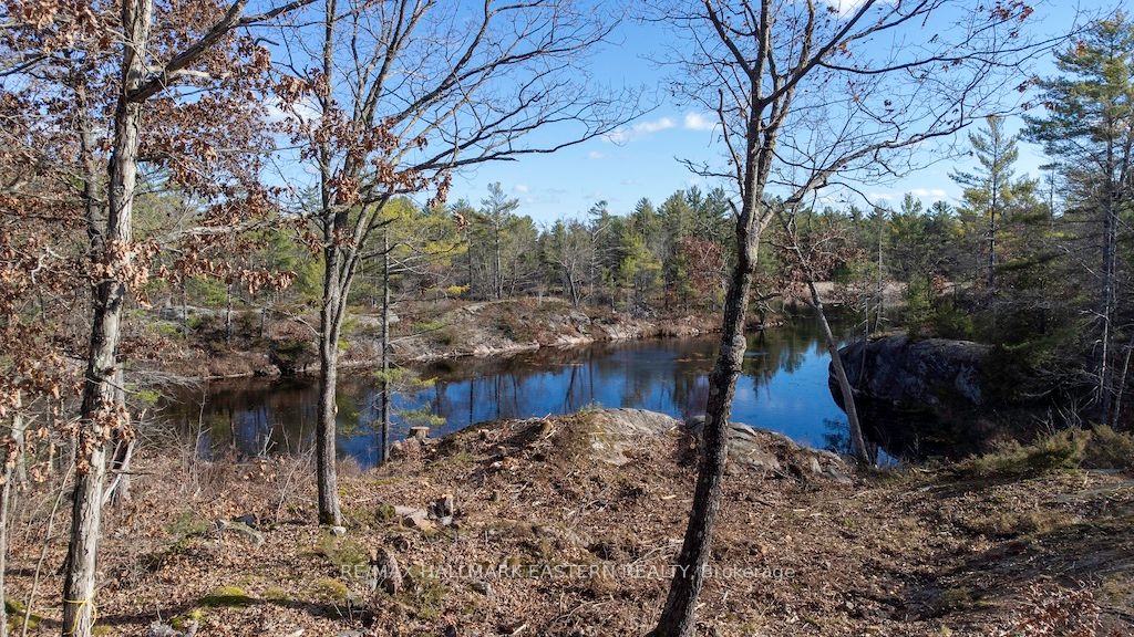 12 Fire Route 79B, Galway-Cavendish and Harvey, Ontario, Rural Galway-Cavendish and Harvey