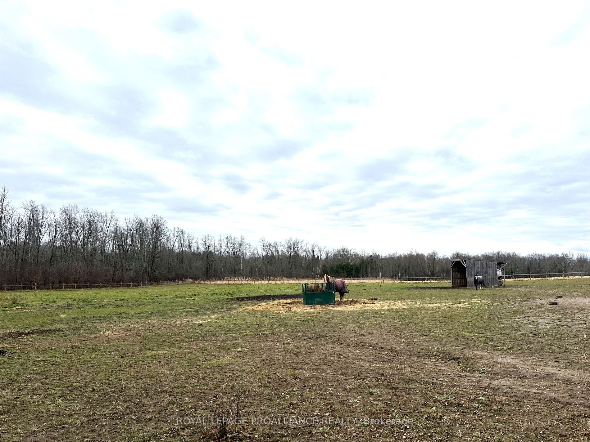 PT LT 8 Ingham Rd, Alnwick/Haldimand, Ontario, Rural Alnwick/Haldimand