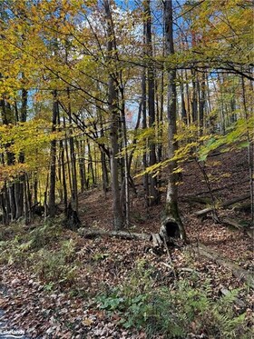 353C BALSAM CREEK Road, Parry Sound, ON , MLS #X10435678 , Image - 1