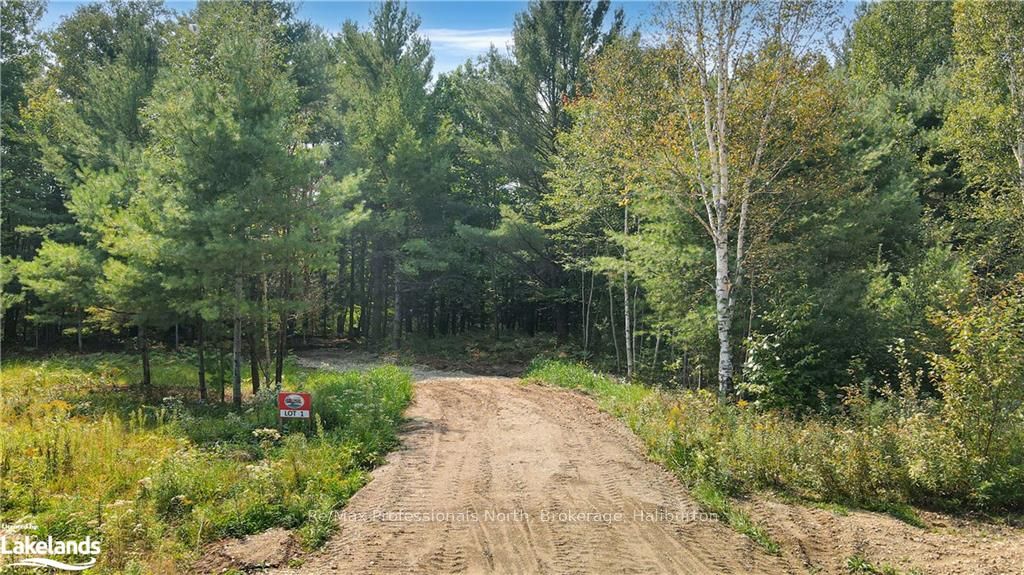 LOT 1 N/A, Algonquin Highlands, Ontario, 