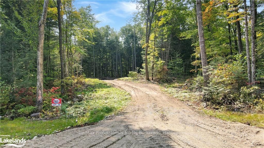 LOT 16 N/A, Algonquin Highlands, Ontario, 