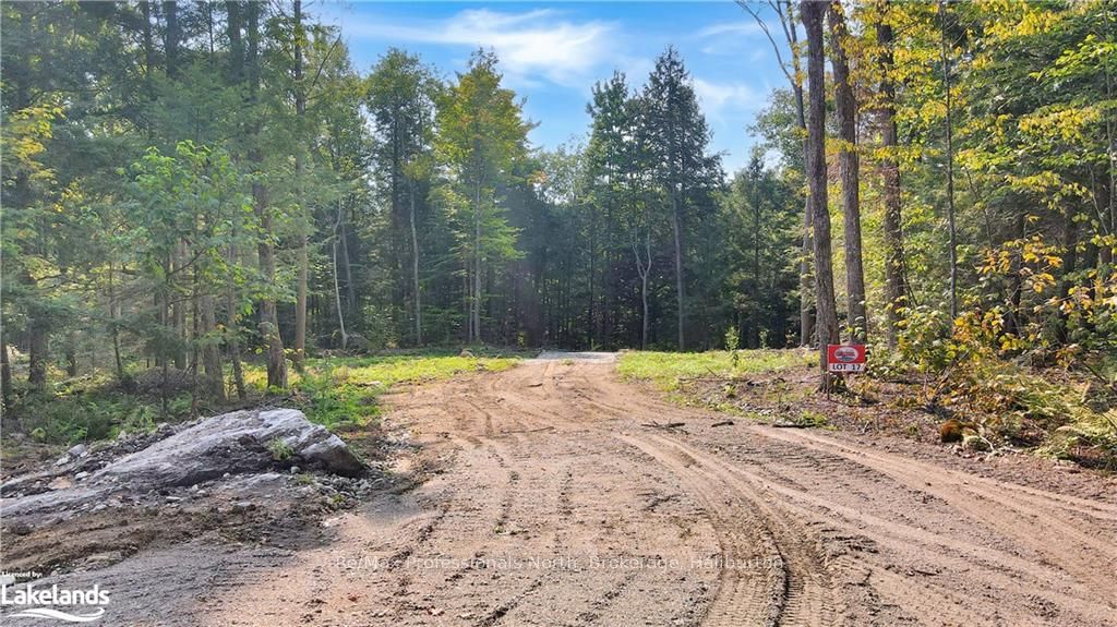 LOT 17 N/A, Algonquin Highlands, Ontario, 