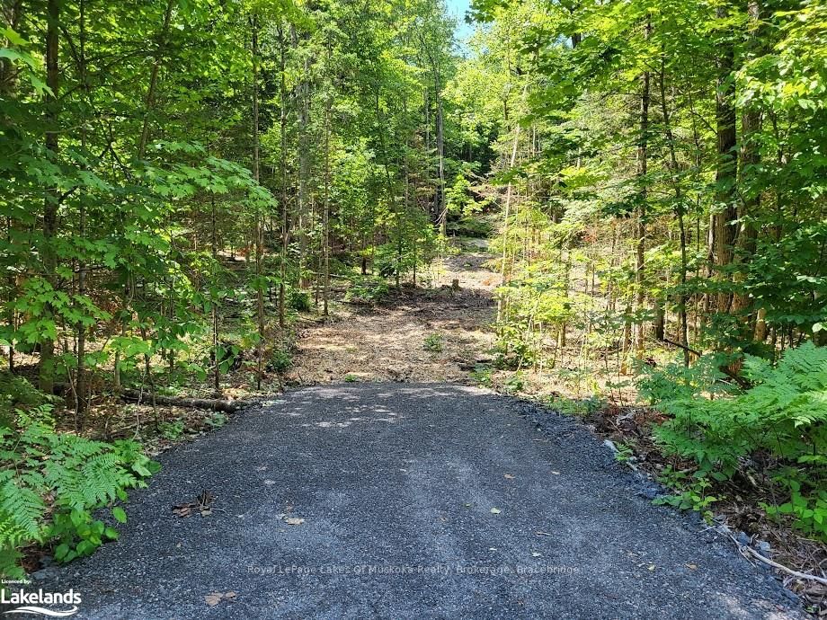 LOT 4 FAIRY FALLS Rd, Lake of Bays, Ontario, Mclean