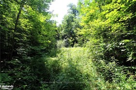 0A 20TH SIDE RD N/A, Parry Sound, ON , MLS #X10437409 , Image - 1