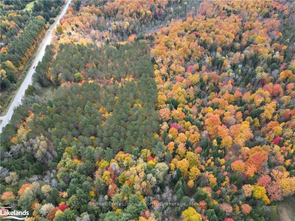 0 COUNTY ROAD 121 Rd, Kawartha Lakes, Ontario, Rural Somerville