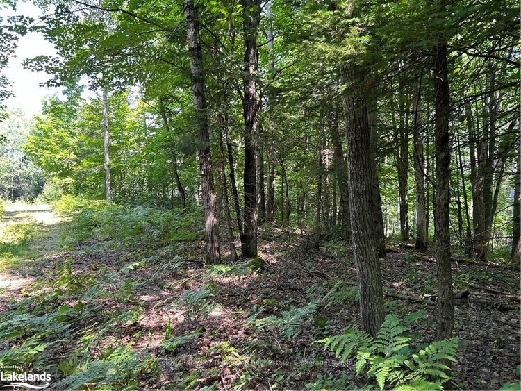 LOT 22 FRANK St, Magnetawan, Ontario, 