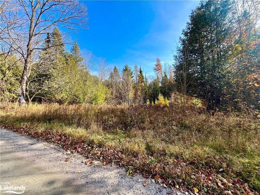 1164 RAVINE Rd, Minden Hills, Ontario, 