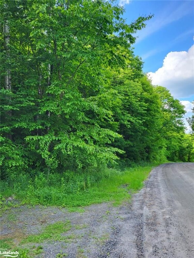 0 HAINES LAKE Rd, McDougall, Ontario, 