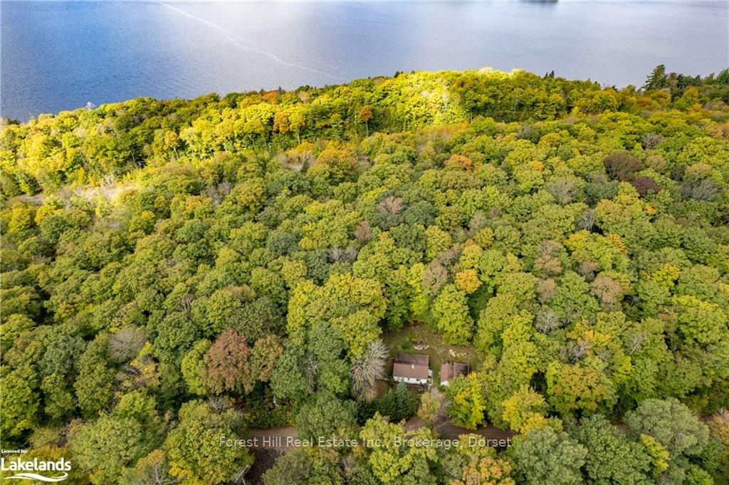 1041 LONGLINE LAKE Rd, Lake of Bays, Ontario, Franklin