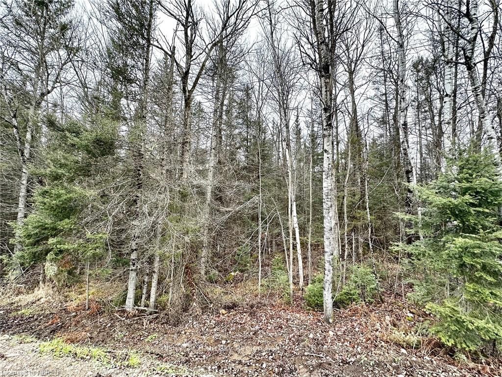 PT LOT 13 JANVEAU Rd, Papineau-Cameron, Ontario, 