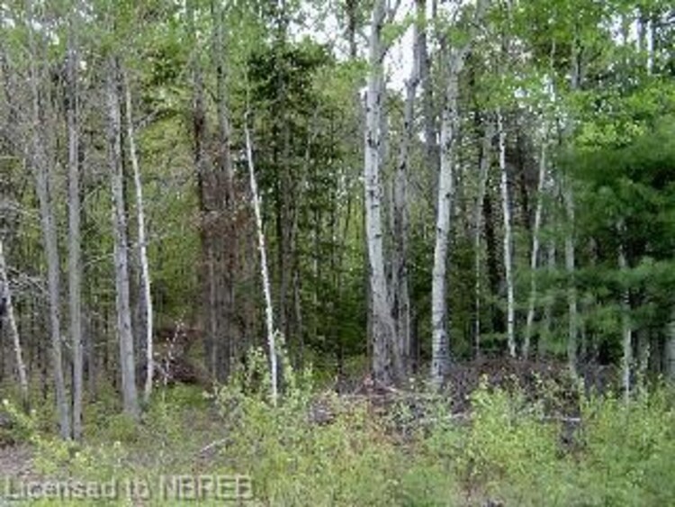 0 Hemlock Road, Powassan, ON, Powassan