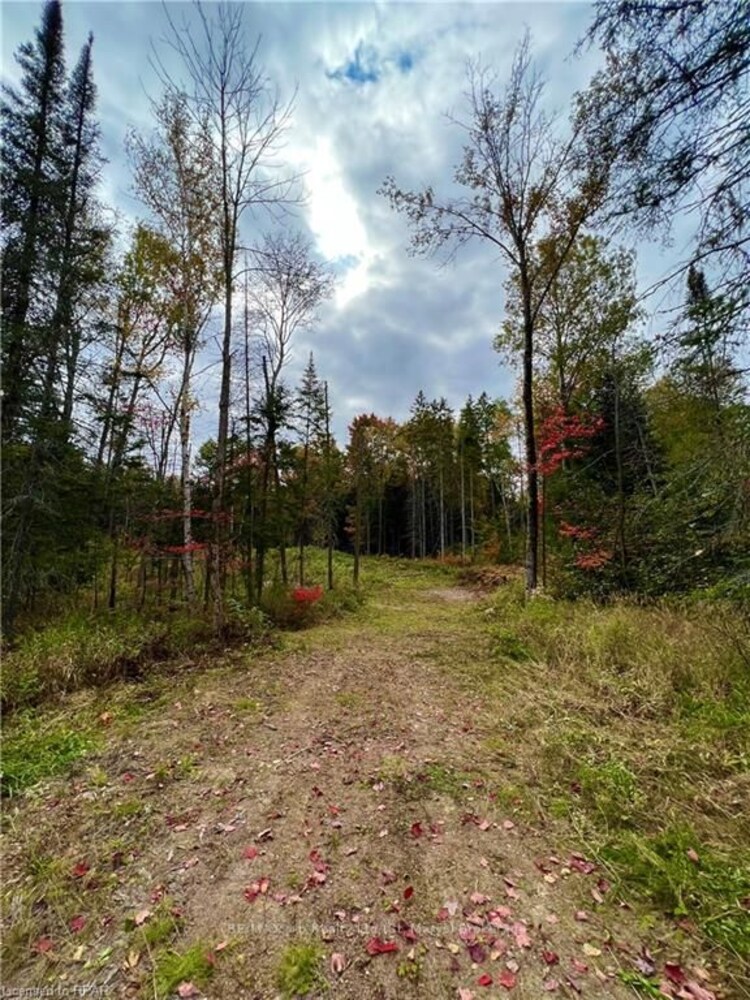 1759 ALSACE Rd, Nipissing, Ontario, 