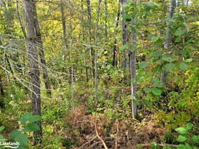 4 FOX RUN Lane, Muskoka, ON , MLS #X10895507 , Image - 1