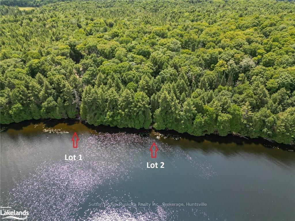 LOT 2 ESIG Lane, Lake of Bays, Ontario, Sinclair