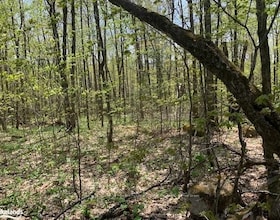 2376 SOUTH HORN LAKE Road, Parry Sound, ON , MLS #X10897622 , Image - 1