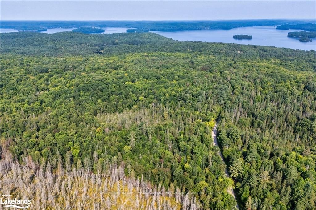 1045 BROWNS BRAE Rd, Lake of Bays, Ontario, Ridout