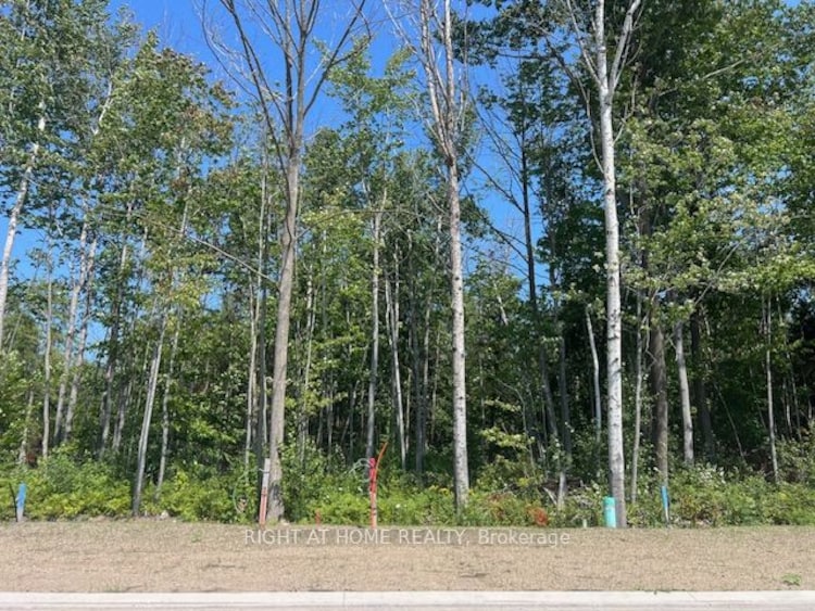 Lot 77 Mapleside Dr, Wasaga Beach, Ontario, Wasaga Beach