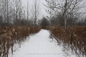 5892 Old Mill Road, Simcoe, ON , MLS #N11888011 , Image - 1