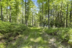 LOT 14 -15 0 Thunder Lane, Frontenac, Ontario