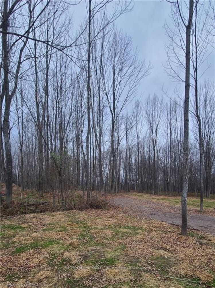 130 MAPLE RIDGE Rd, Georgian Bluffs, Ontario, Rural Georgian Bluffs