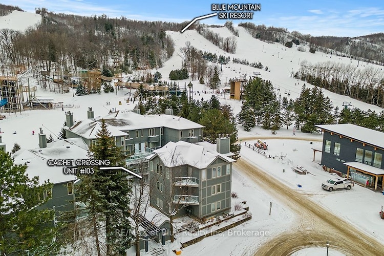 107 Ann Heggtveit Dr, Blue Mountains, Ontario, Blue Mountain Resort Area