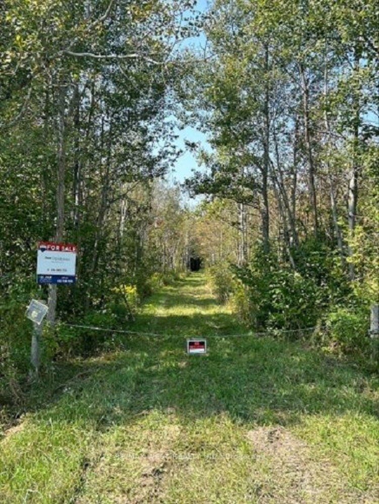 700225 Grey Rd, Grey Highlands, Ontario, Rural Grey Highlands