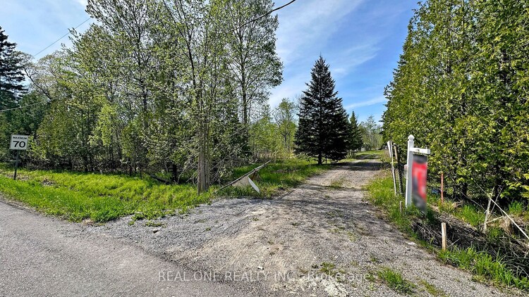 4778 Holborn Rd, East Gwillimbury, Ontario, Mt Albert