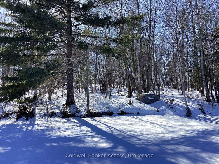 30 Hawkins Point Rd, Georgian Bay, Ontario, Freeman