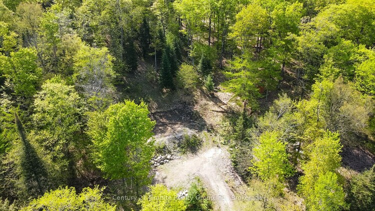 1019 Bushwolf Lake Road, Dysart et al, ON, Guilford