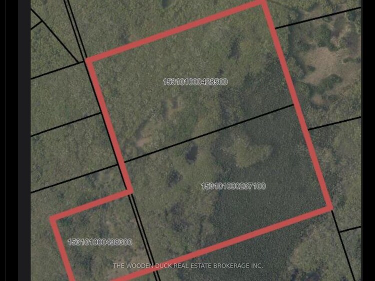 0East1 Road Allowance Road, Havelock-Belmont-Methuen, ON, Belmont-Methuen