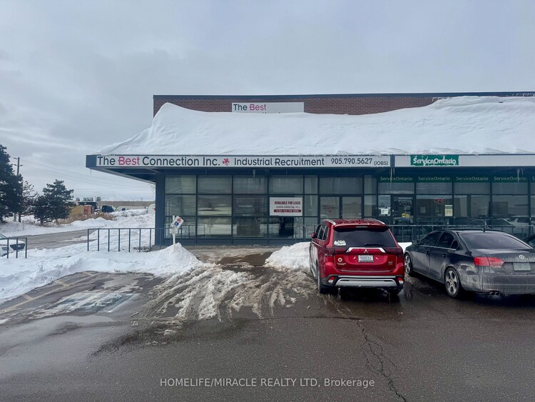 8026 Torbram Rd, Brampton, Ontario, Southgate