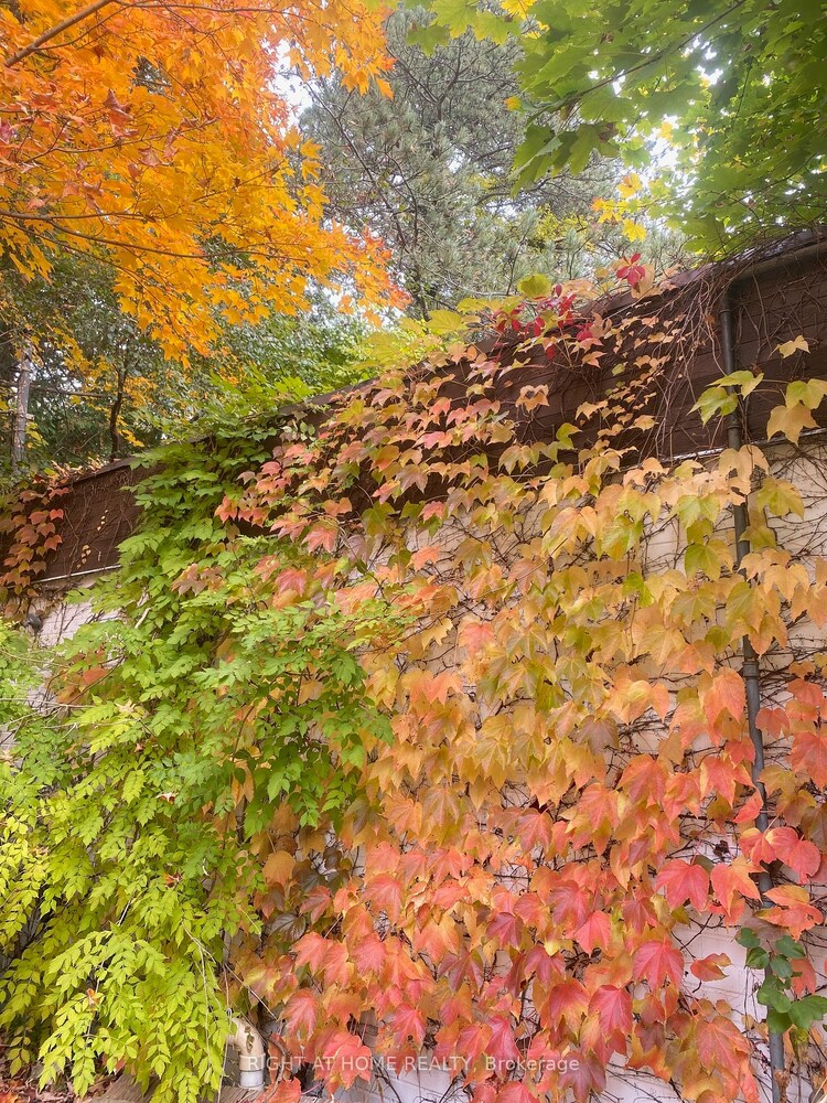 48 The Bridle Path, Toronto, ON, Bridle Path-Sunnybrook-York Mills