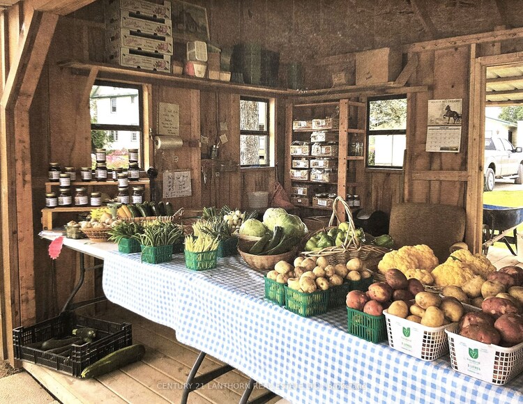 11449 Highway 62, Centre Hastings, Ontario, 