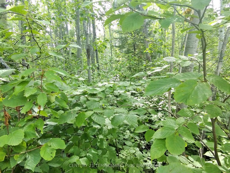 Part 6 Girl Guide Road, Timiskaming, ON, TIM - Outside - Rural