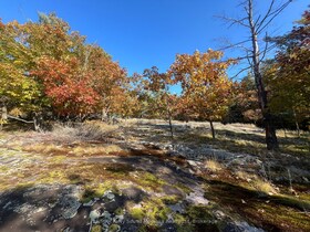13 Ridgeway Drive, Parry Sound, ON , MLS #X12004632 , Image - 1
