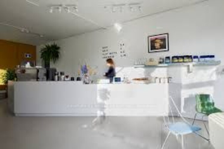 870 DUNDAS St W, Toronto, Ontario, Trinity-Bellwoods