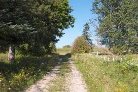 20985 Main St, Peel, Ontario , MLS #W1518631 , Image - 1