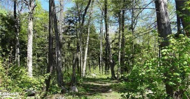 LOT F1 Nippissing Ridge Road, Tiny, ON, Rural Tiny