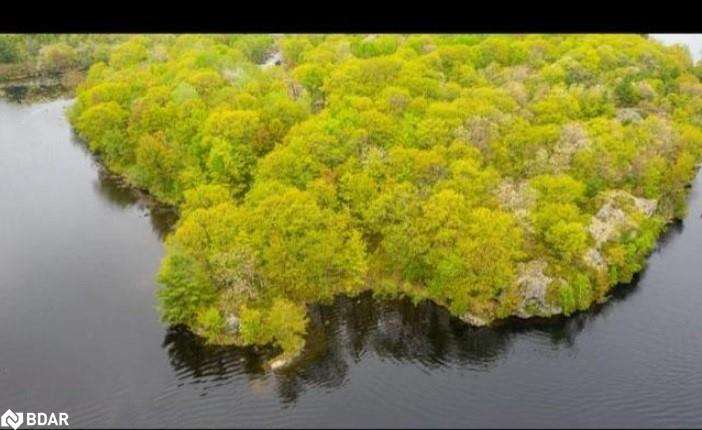 3600 Narrows Road, Severn, ON, Rural Severn