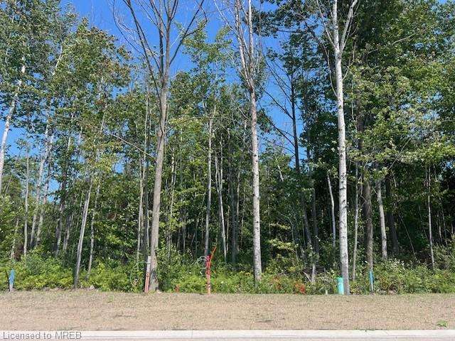 LOT 77 Mapleside Drive, Wasaga Beach, ON, Wasaga Beach