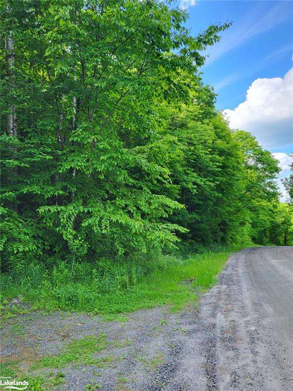 0 Haines Lake Road, Mcdougall, ON, 