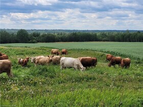 4045 579 Highway, Cochrane, Ontario , MLS #40536347 , Image - 1