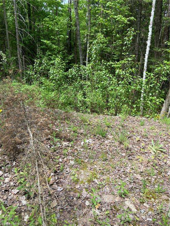 LOT 40 Greenwood Drive, Bonfield, ON, 