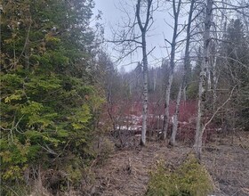 348295 4TH CON B Concession 5, Grey County, ON , MLS #40612280 , Image - 1