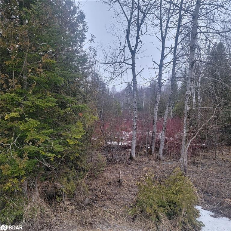 348295 4TH CON B Concession 5, Grey Highlands, ON, Rural Grey Highlands