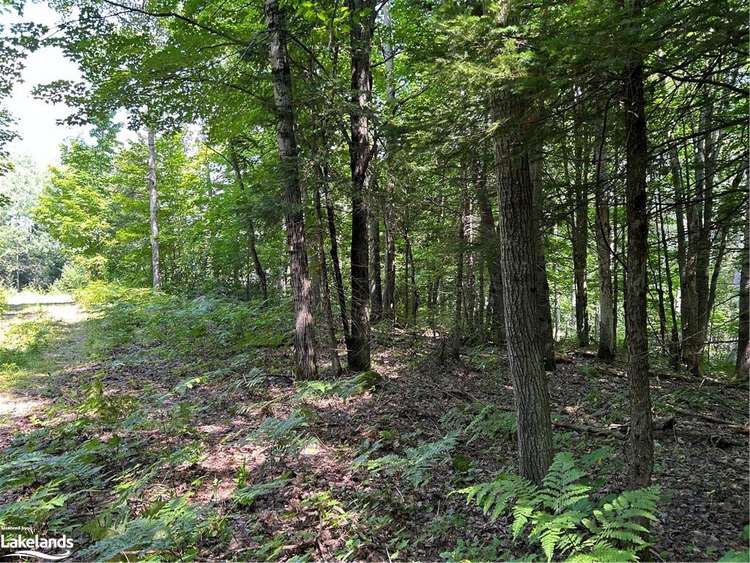 LOT 22 Frank Street, Magnetawan, ON, 