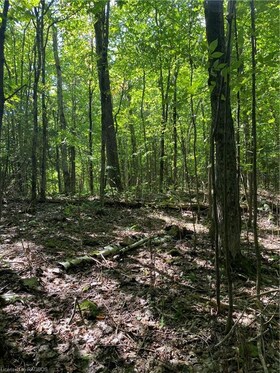 PT LT 3 GEORGIAN RANGE Grey Road 1, Grey County, ON , MLS #40560485 , Image - 1