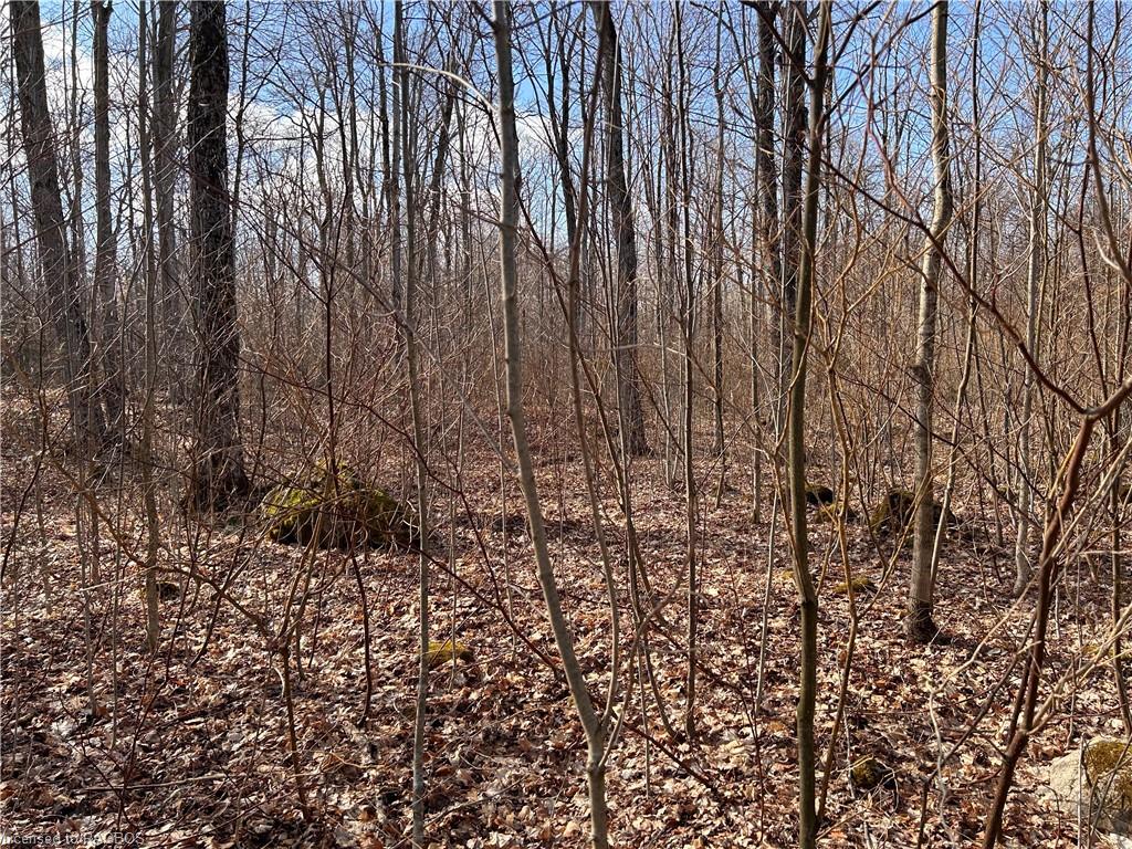 PT LT 24 Big Rock Road, Georgian Bluffs, ON, Rural Georgian Bluffs