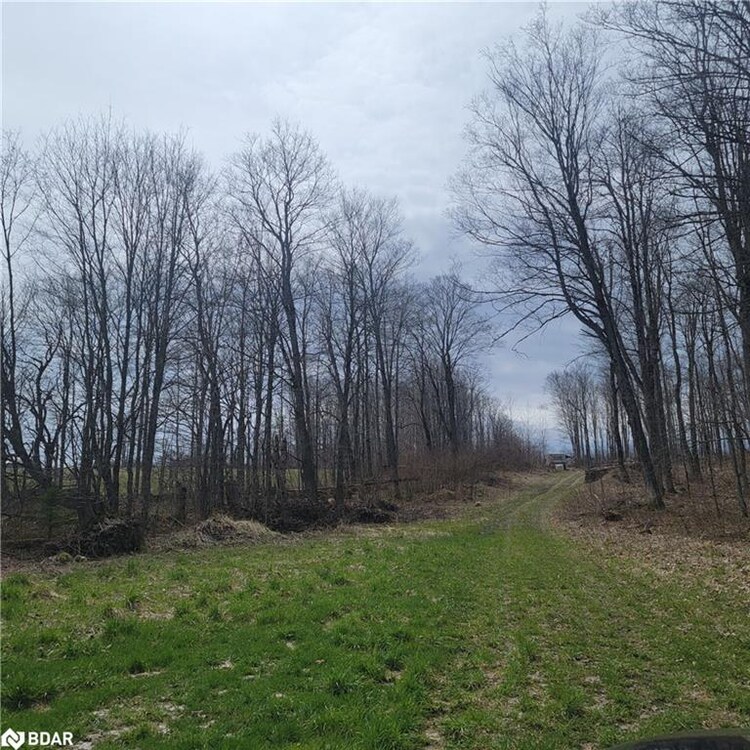 467323 GREY RD 31 N/A Concession, Grey Highlands, ON, Rural Grey Highlands